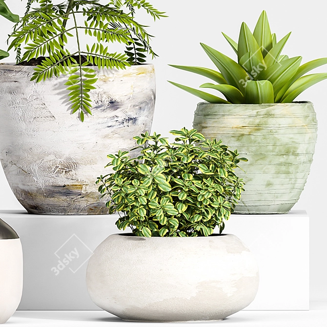 Modern Planter Set 3D Model 3D model image 3