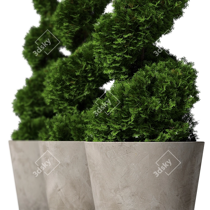 Modern Concrete Planter with Topiary Cypress 3D model image 1
