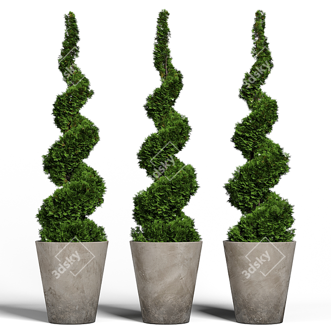 Modern Concrete Planter with Topiary Cypress 3D model image 2
