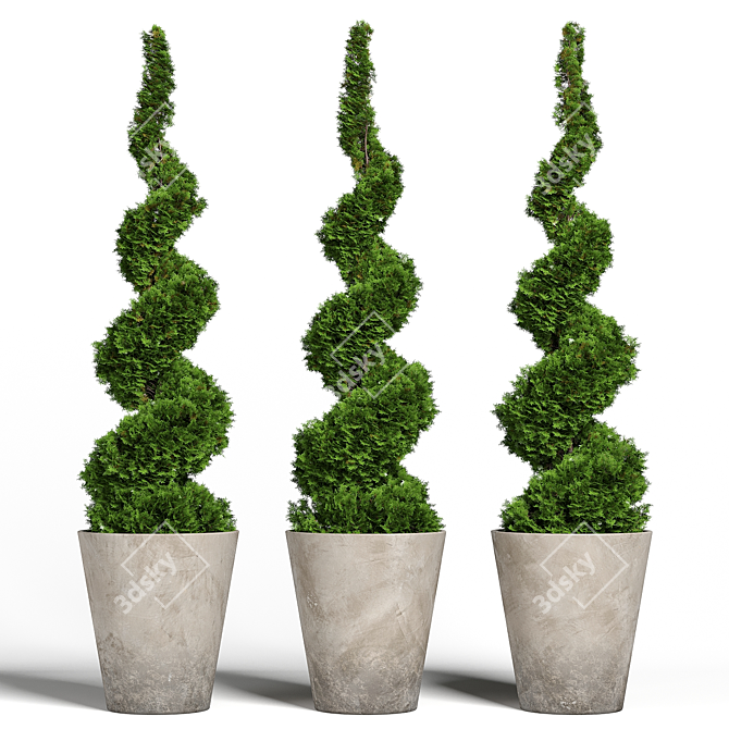 Modern Concrete Planter with Topiary Cypress 3D model image 4