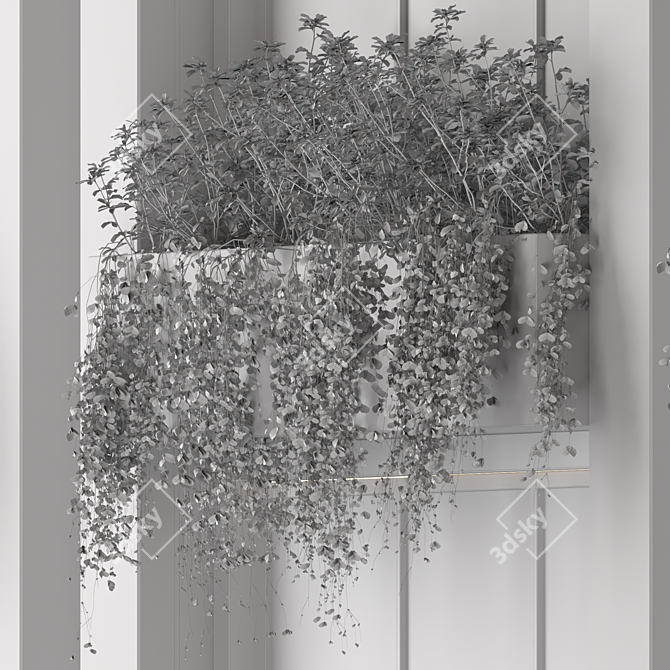 Editable Plant Box with Two Varieties 3D model image 4