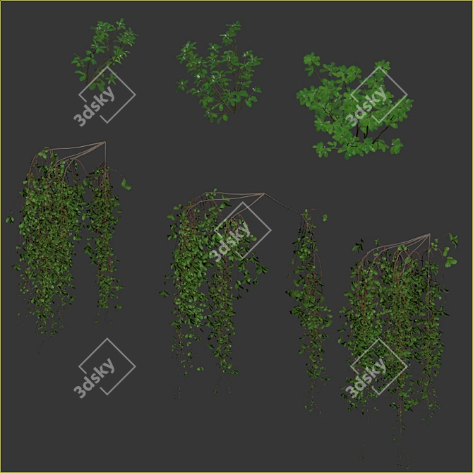 Editable Plant Box with Two Varieties 3D model image 6