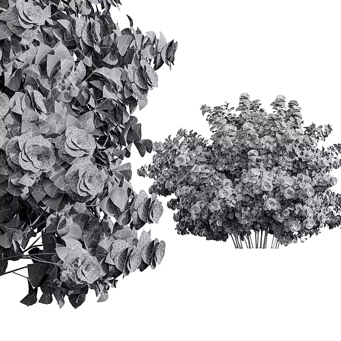 Detailed Climbing Roses Bush 3D model image 4