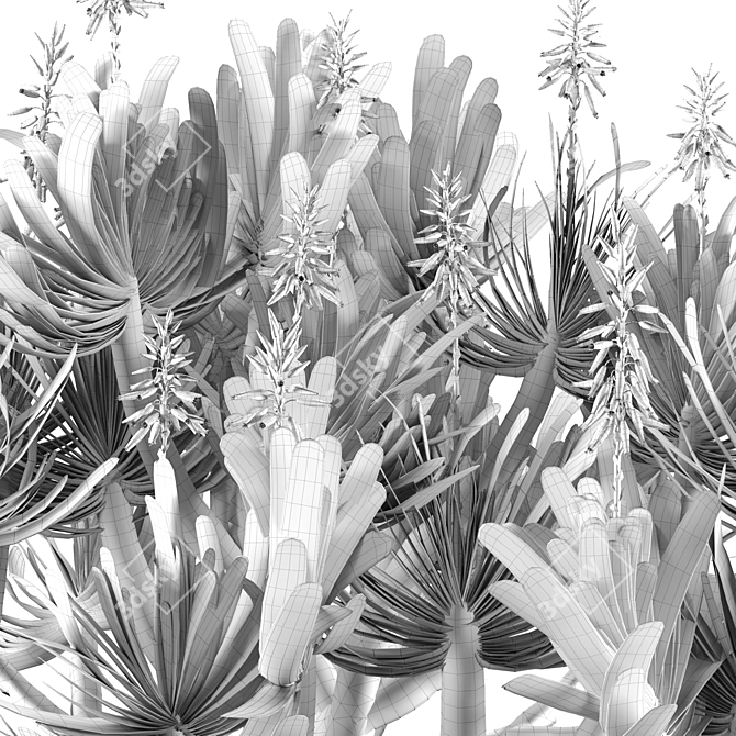 Corona Rendered Aloe Plicatilis Model 3D model image 7