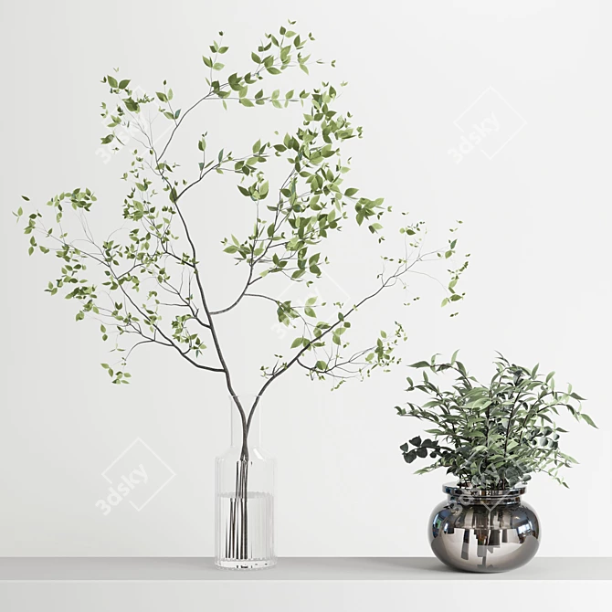 Botanical Glass Vase Collection 3D model image 3