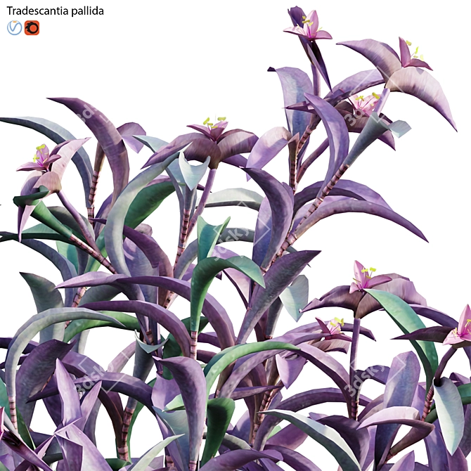 Purple Heart 3D Model Archive 3D model image 2