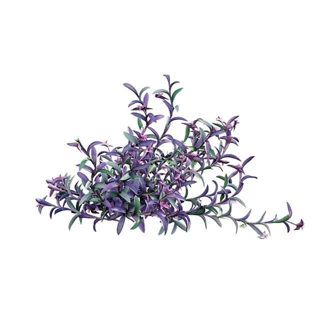 Purple Heart 3D Model Archive 3D model image 6