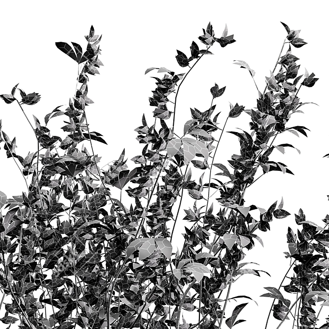 Detailed Cytisus scoparius 3D Model 3D model image 5
