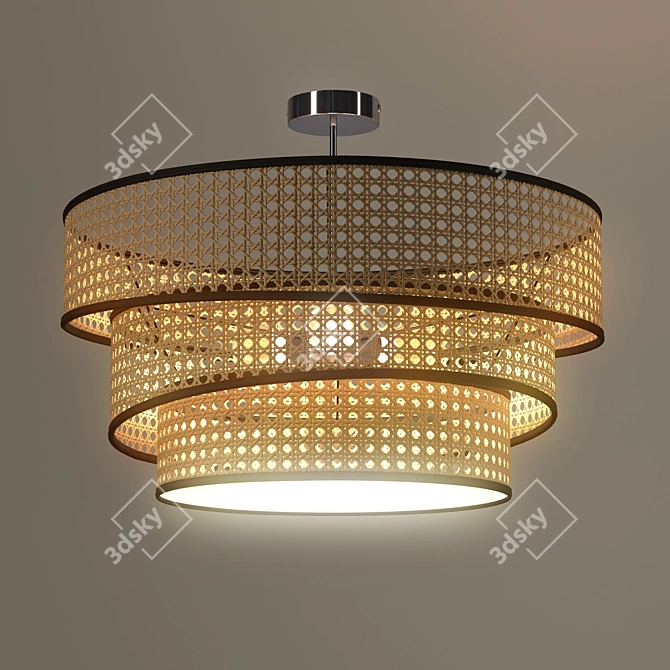 Elegant Chrome and Wood Ceiling Light 3D model image 3