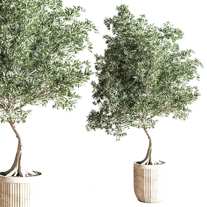 Modern Indoor Plant Set 3D model image 2