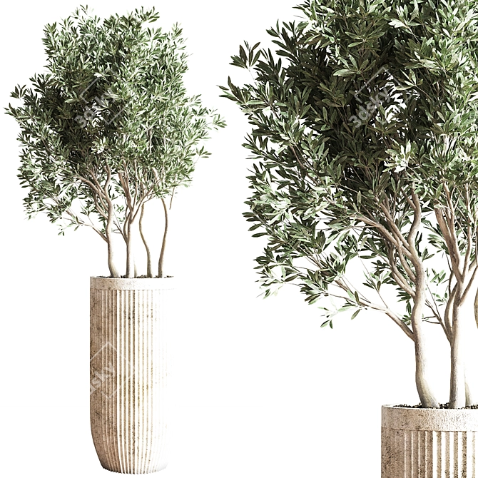 Modern Indoor Plant Set 3D model image 4