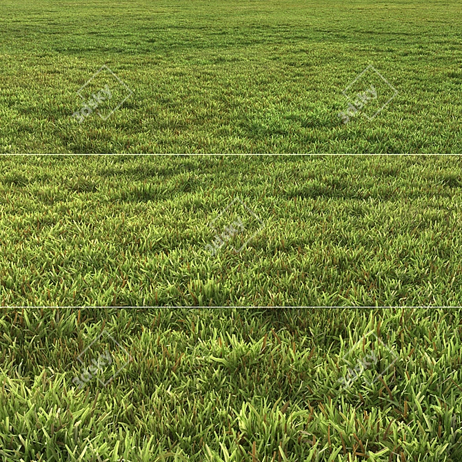 Flat Grass Pack: 14 Patterns 3D model image 3