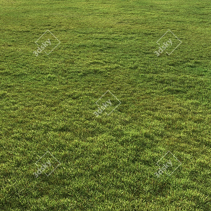 Flat Grass Pack: 14 Patterns 3D model image 4