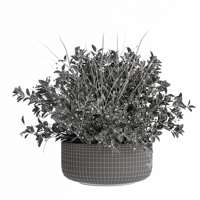 Buxus Plant 3D Model Collection 3D model image 3