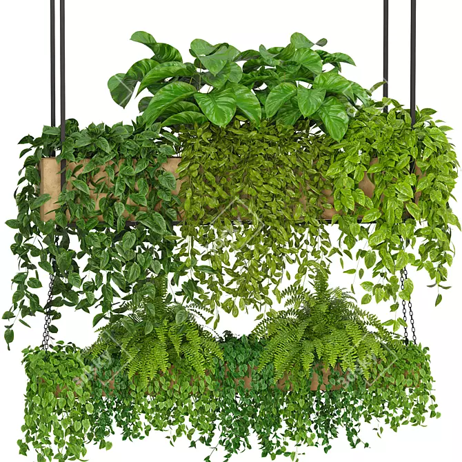 "Modern Indoor Plants Collection Pack 3D model image 2