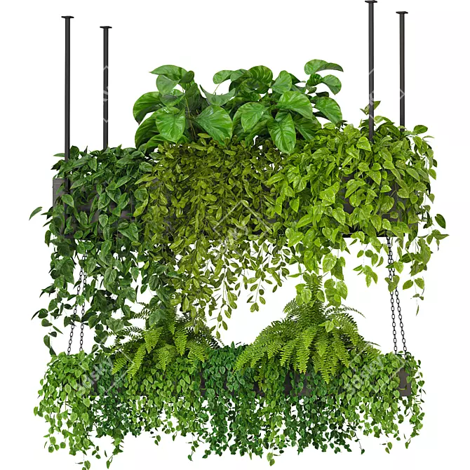 "Modern Indoor Plants Collection Pack 3D model image 4