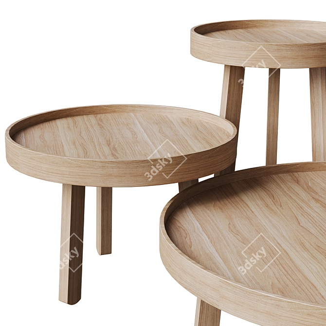 Modern Hamm Tray Table 3D model image 6