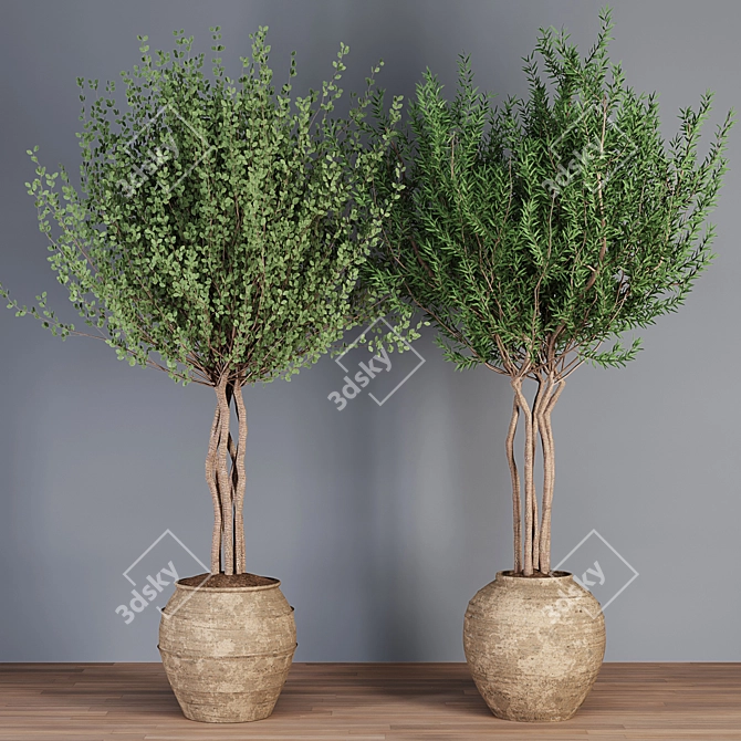 Artisan Plant Collection Vases 3D model image 4