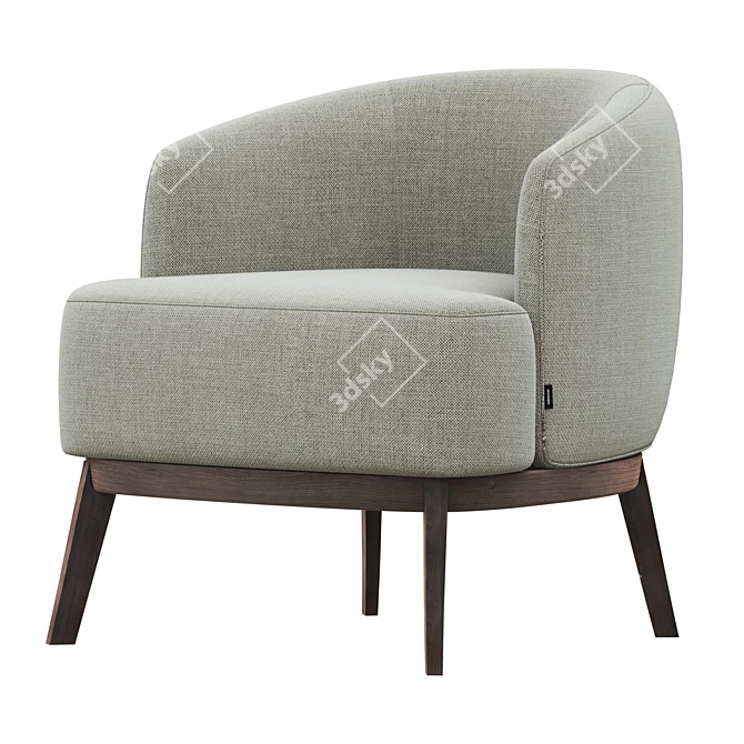 Modern Chic Megan Armchair Green 3D model image 2