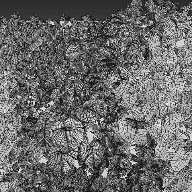 Botanical Wall Art Collection 3D model image 2