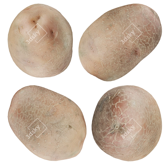 High-resolution 3D Potato Scan 3D model image 1