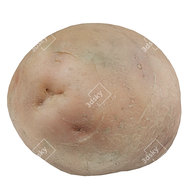 High-resolution 3D Potato Scan 3D model image 2