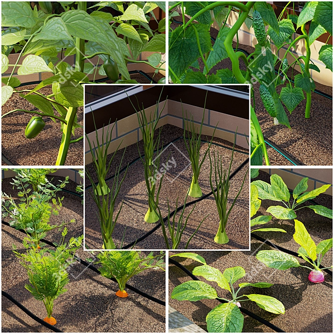 Kitchen Garden Greenhouse Set-5 3D model image 2