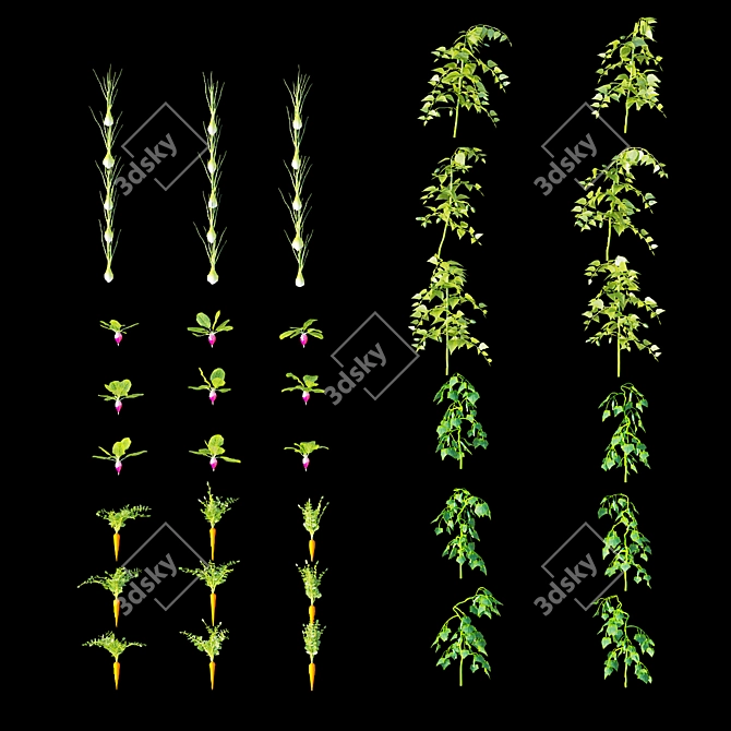 Kitchen Garden Greenhouse Set-5 3D model image 3