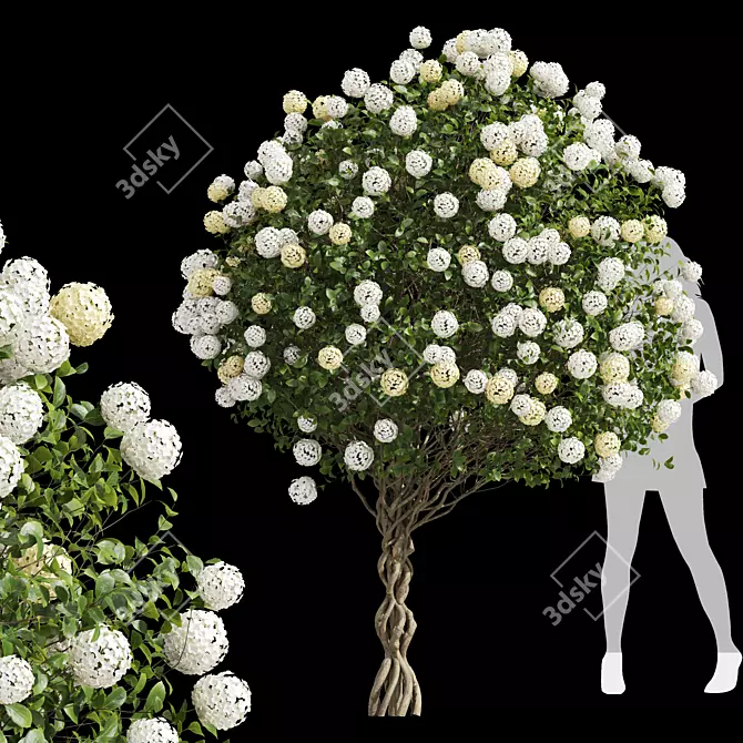 High-detail 3D Viburnum Bush 3D model image 1