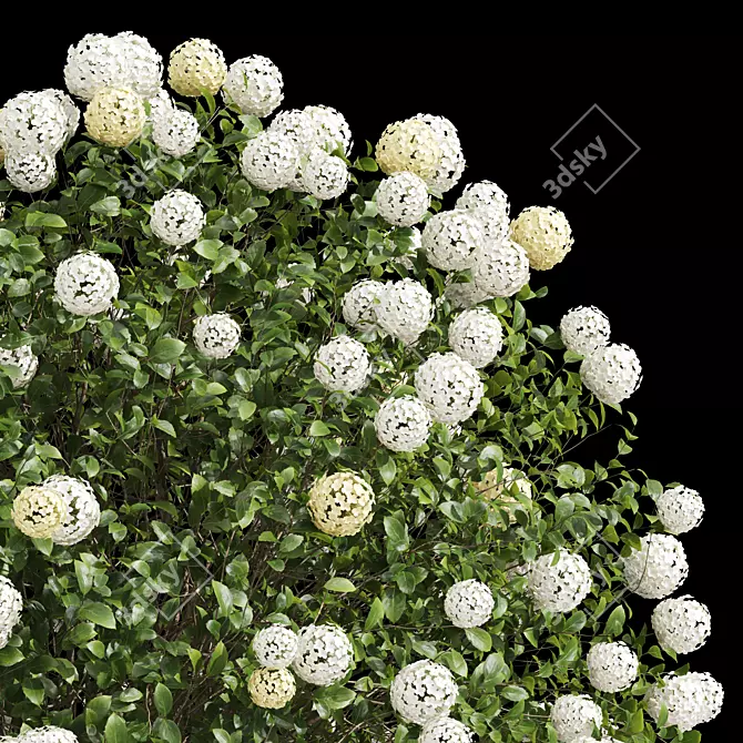 High-detail 3D Viburnum Bush 3D model image 2