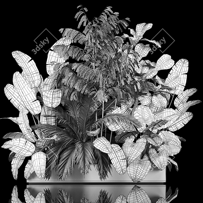 Exotic Plant Collection for Home Garden 3D model image 7