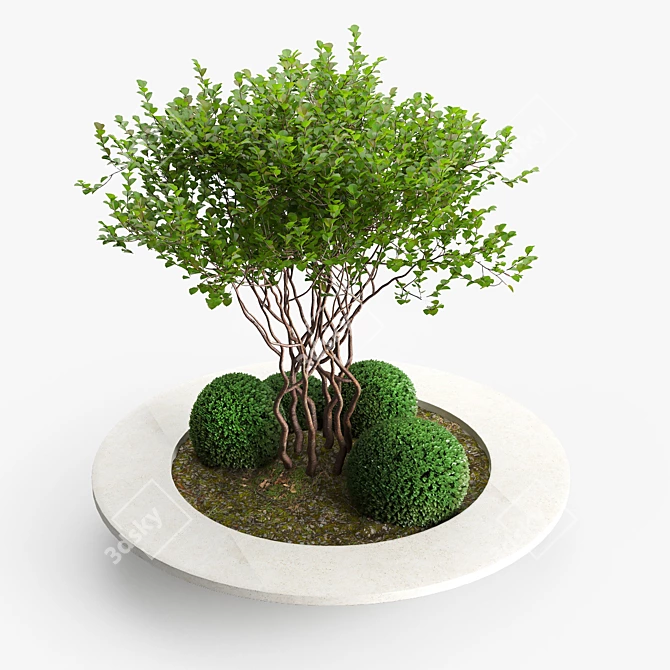 Versatile Concrete Planter - Besso 3D model image 3