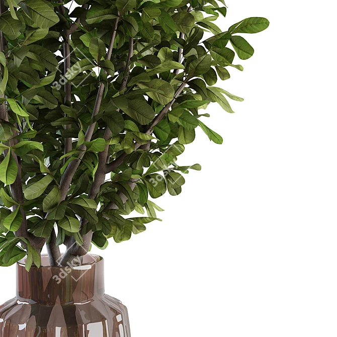  Branches in a Vase 018 3D model image 6