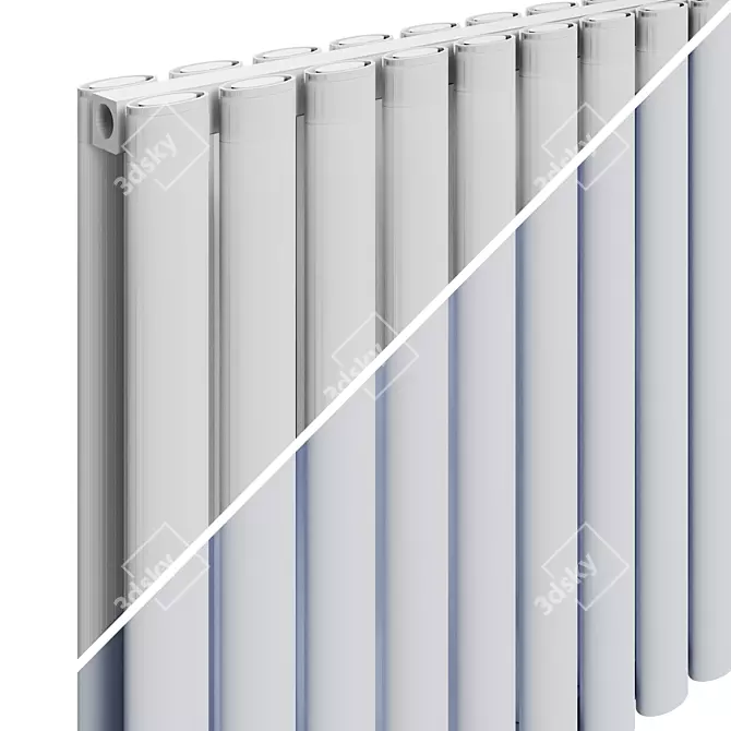 Carisa Tallis Double Radiator 3D model image 2