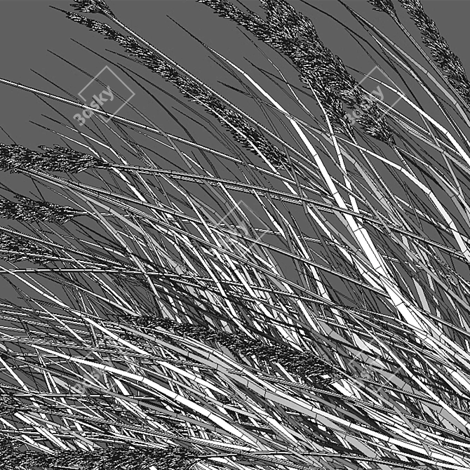 Max 3D Models Set Texture 3D model image 4