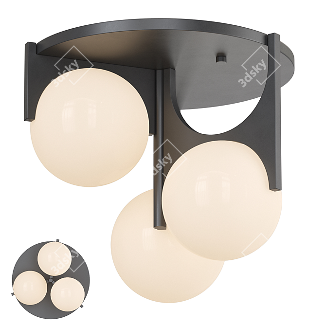 Frida Glass Globe Ceiling Lights 3D model image 1