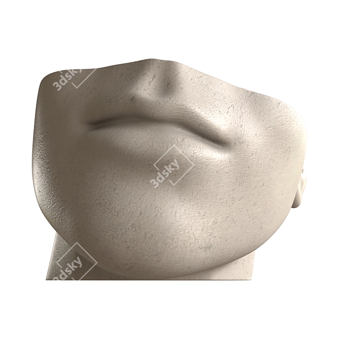 Versatile Detachable Face Fountain 3D model image 4