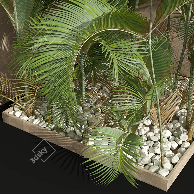 Chrysalidocarpus Lutescens 3D Plant Model 3D model image 3