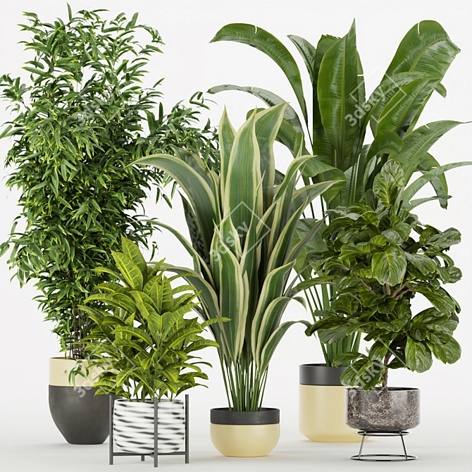 Premium Indoor Plant Collection Set 3D model image 1