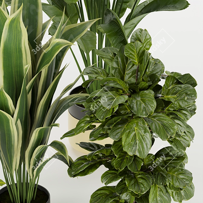 Premium Indoor Plant Collection Set 3D model image 2