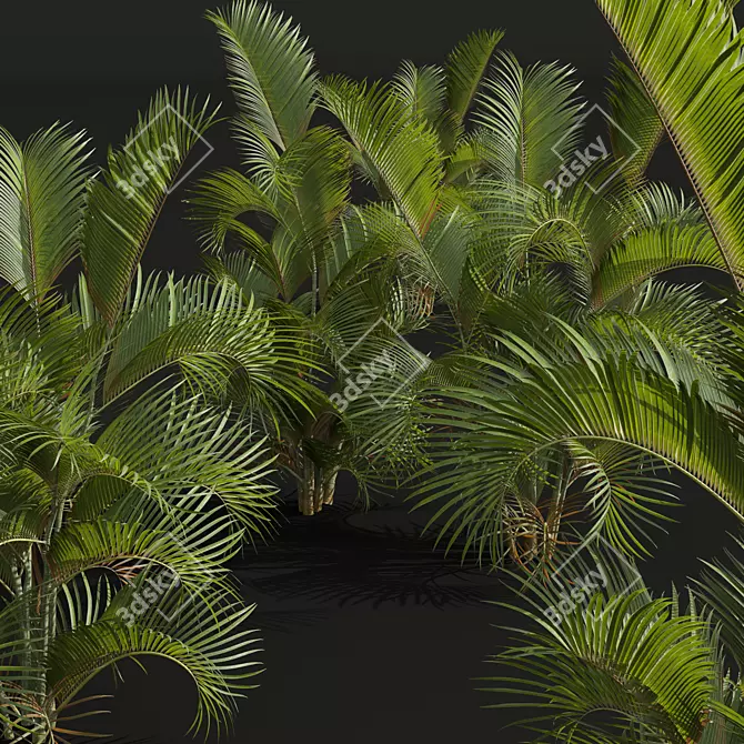 Detailed Chrysalidocarpus Lutescens Mini Plant 3D model image 3
