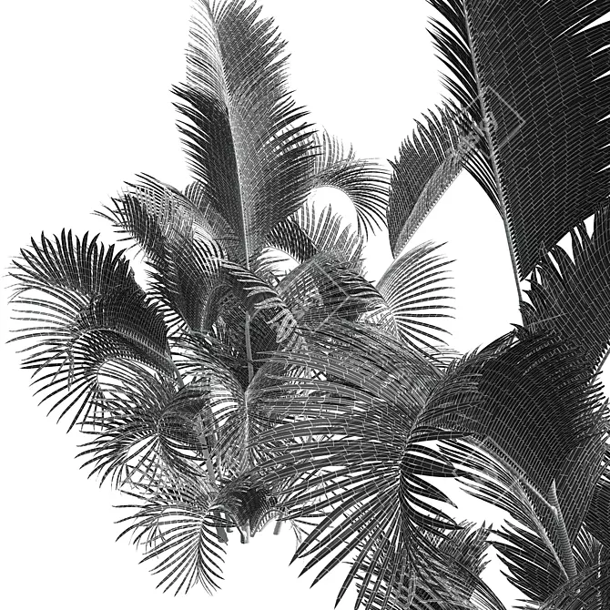 Detailed Chrysalidocarpus Lutescens Mini Plant 3D model image 4