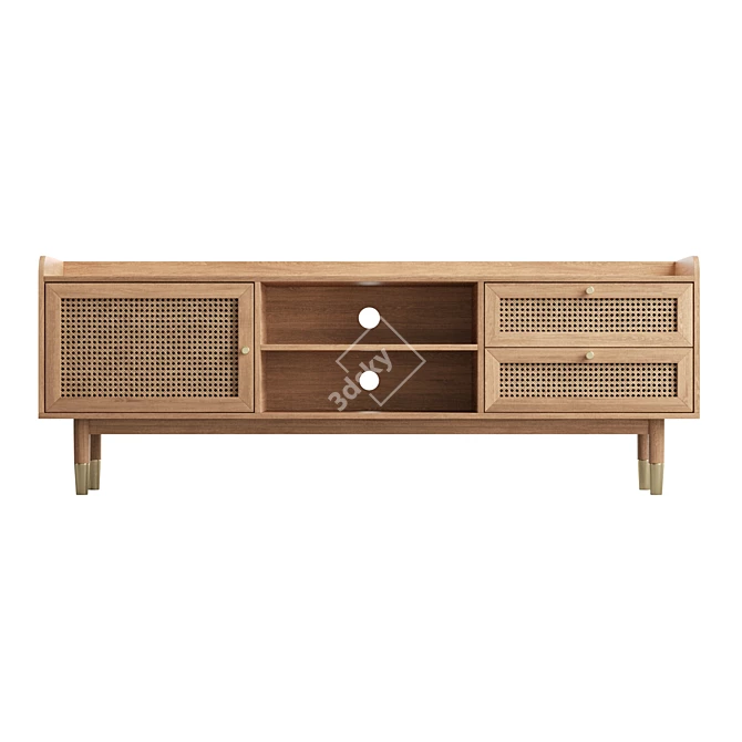 Boho-Chic Wood & Rattan TV Stand 3D model image 2