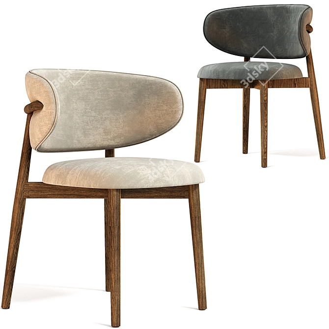 Sleek Oleandro Chair | Modern Design 3D model image 3