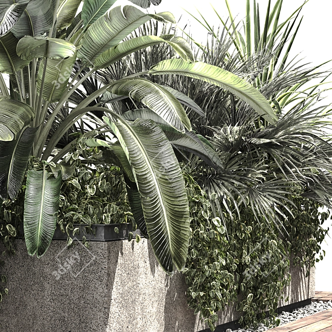 Tropical Plant Concrete Planter V2 3D model image 2