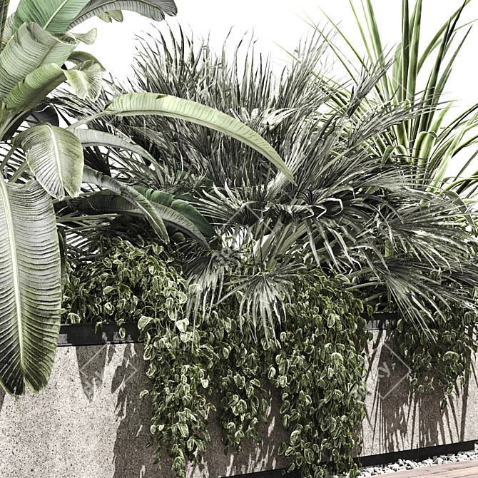 Tropical Plant Concrete Planter V2 3D model image 3