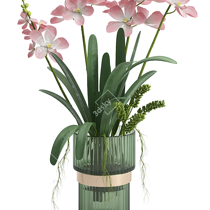 Orchid Indoor Plant Set Max 2013 3D model image 4