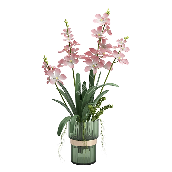 Orchid Indoor Plant Set Max 2013 3D model image 7