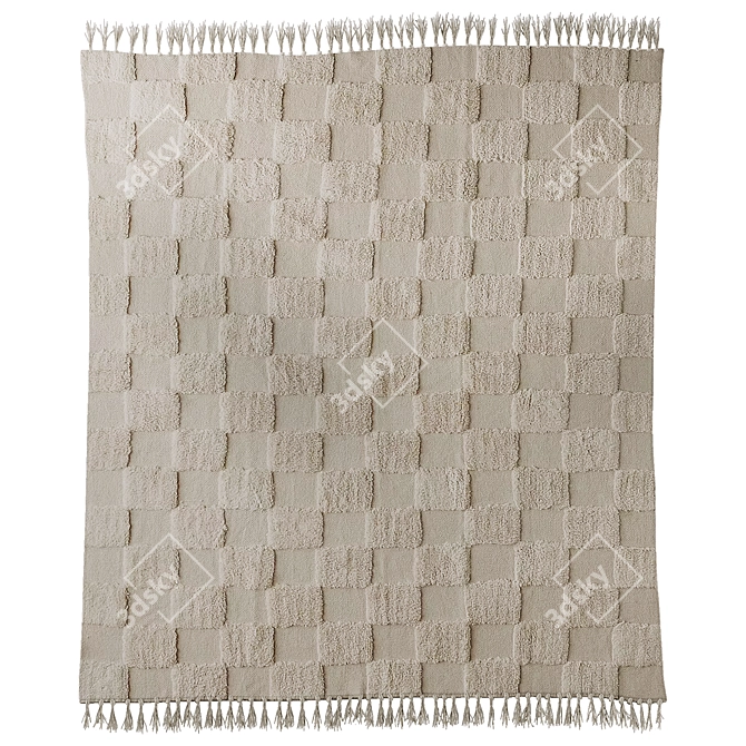 Checkerboard Hilo Tufted Rug - Black & White 3D model image 1
