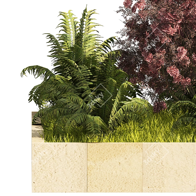 Garden Border Plant Set, Polycharm 3D model image 4